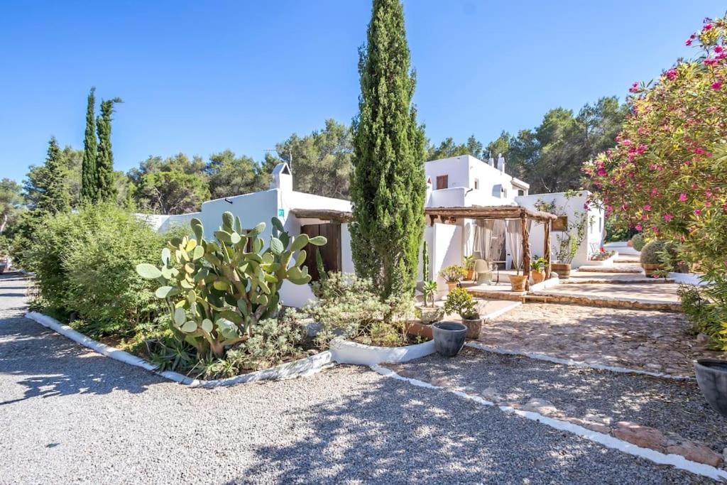 Casa Rosada - Gorgeous Family Finca Near Santa Gertrudis Villa Santa Gertrudis  Exterior foto